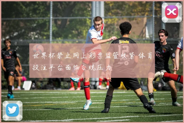 世界杯禁止网上彩票监管收紧 体育投注平台面临合规压力
