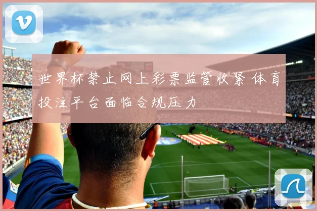 世界杯禁止网上彩票监管收紧 体育投注平台面临合规压力