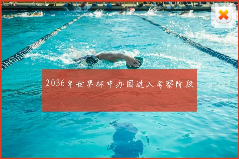 2036年世界杯申办国进入考察阶段