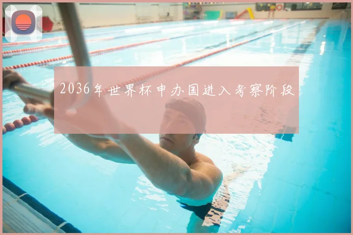 2036年世界杯申办国进入考察阶段