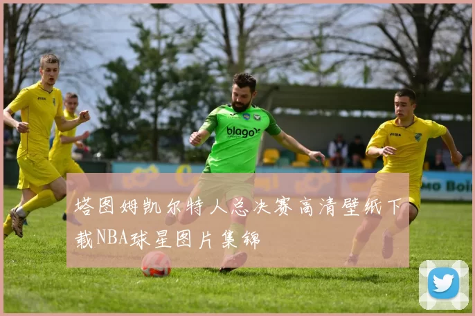 塔图姆凯尔特人总决赛高清壁纸下载NBA球星图片集锦