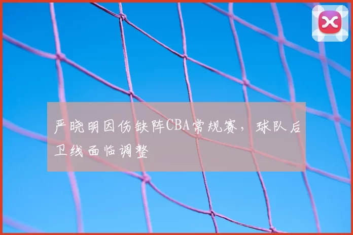 严晓明因伤缺阵CBA常规赛，球队后卫线面临调整