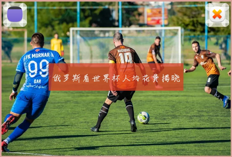 俄罗斯看世界杯人均花费揭晓