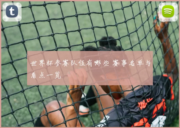 世界杯参赛队伍有哪些 赛事名单与看点一览